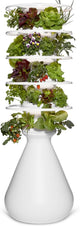 Farmstand Starter Kit with Glow Rings and 30 Seedling Credits | Family Hydroponic Growing System Kit | Vertical Garden Planter Tower | 5ft 5in Tall