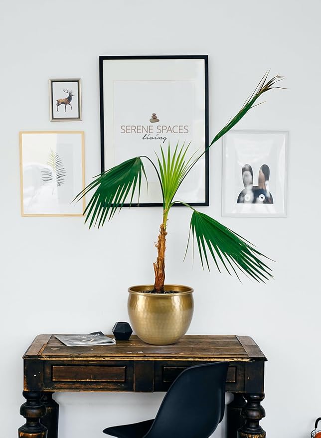 Serene Spaces Living Gold Brass Look Vintage Aluminum Vase - Perfect Decorative Accent for Plants, Weddings, and Events, Metallic Pot for Home, Medium, Measures 9" Diameter and 7" Tall