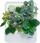 Indoor Garden Hydroponic System with LED Grow Light Indoor herb Garden, Indoor Garden Hydroponic System with LED Grow Light (Gery)