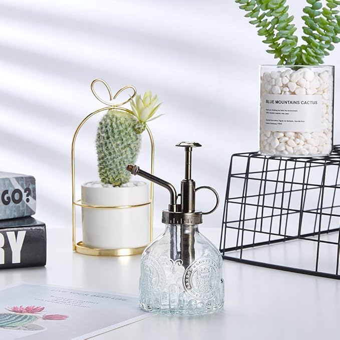 Glass Plant Mister Spray Bottle, 6.5" Tall Vintage Plant Spritzer Watering Can, Succulent Watering Bottle with Top Pump, Small Plant Sprayer Mister for Indoor Outdoor Houseplant - Clear