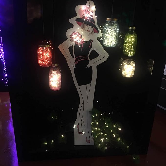 2 Pack Battery Operated Mini Led Lights,Indoor Fairy Lights with Timer 6 Hours on/18 Hours Off for Wedding Centerpiece Party Decorations,30 Count LEDs,10 Feet Silver Wire (Cold White)