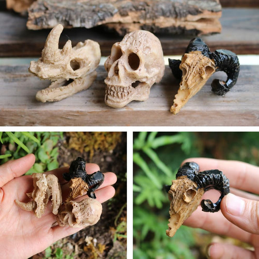Halloween Miniatures Fairy Garden House Accessories Set Fairy Garden Figurines Mini Town Decor Vintage Retro Statue Ornament Outdoor Decoration (3 Animal Skulls M)