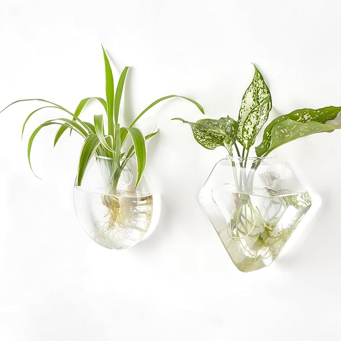 Mkono Wall Planter Propagation Stations Hanging Glass Terrariums Vase Container for Propagating Hydroponic Plants Flowers Home Office Living Room Bathroom Garden Decor, 3 Pack