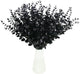 Tinsow Black Artificial Eucalyptus Stem Bulk Halloween Faux Eucalyptuses Wedding Bouquet Centerpiece Home Decor (65, Black)
