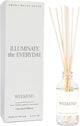 Sweet Water Decor Weekend Reed Diffuser Set for Home - Sage, Orange, Amber, Tonka Bean Scented Reed Diffusers - Air Freshener Lasts 4+ Months, Made in The USA