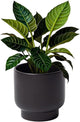 LB Black Ceramic Plant Pot for Indoor Plants, Succulent Planters Ceramic Plant Pots, Modern Flower Pots for Living Room Office Home Decor, Round Flower Pot of 4.3 Inch(Plant Not Included)