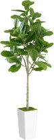 ProDeco Artificial Fiddle Leaf Fig Tree 6ft - Realistic Tall Fake Plants for Office Home Living Room Bedroom Decor Indoor Outdoor - Green Large Silk Faux Floor Plant with Pot