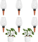 6pack Plant Self Watering Globes, Plastic Water Bulbs Top Fill, 12.3 oz Plant Watering Devices System Slow Release Terracotta, Water Spikes Stakes for Indoor (Clear-6pack)