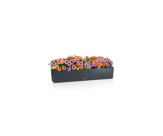 Lechuza 15918 Balconera Color 100 Self-Watering Planter, Slate