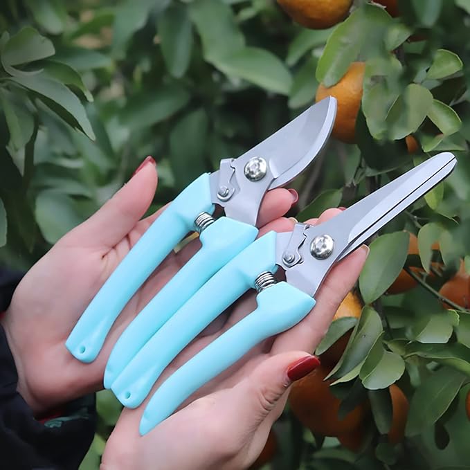 Premium Garden Shears, Pruning Scissors Gardening Tools, Pruners For Flower, Bushes, Rose And Fruit Tree, Use For Florist, Yard And Orchard the Plant Clippers, Sharp White Steel Anvil Snips