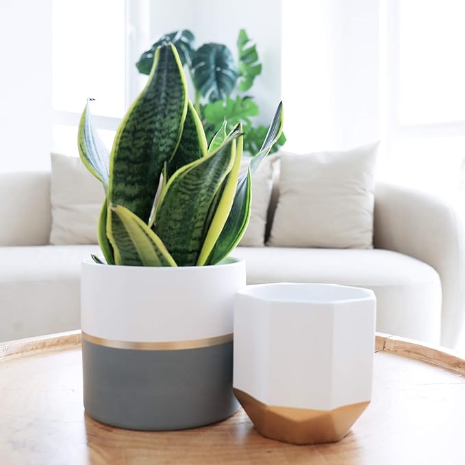 LA Jolie Muse White Ceramic Flower Pot Garden Planters 6.7 Inch Pack 2 Indoor Plant Containers with Gold and Grey Detailing