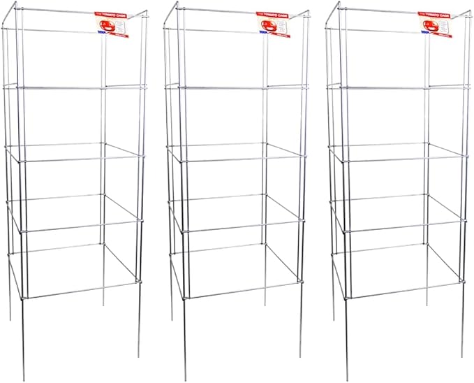 Cedar Ridge Square Foldable Tomato Cages - Heavy Duty Plant Support for Vegetable Garden, Vegetables, and Flowers - Stakes and Trellis for Climbing Plants - Made in The USA (13x40) - 3-Pack