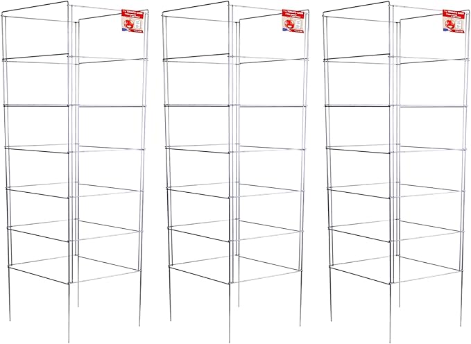 Cedar Ridge Square Foldable Tomato Cages - Made in USA Heavy Duty Plant Support for Vegetable Garden, Vegetables, and Flowers - Stakes and Trellis for Climbing Plants (13x56) 3-Pack