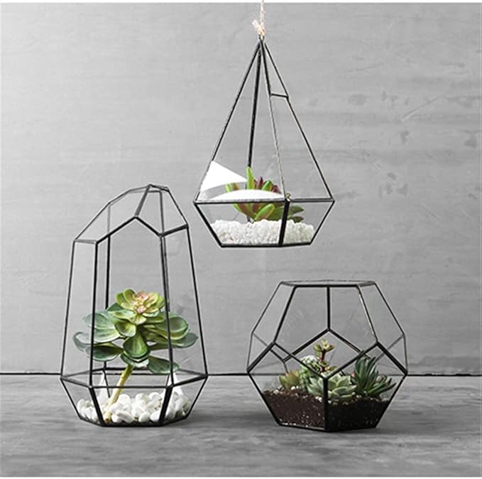 Geometric Glass Terrarium for Indoor Plants,Irregular Clear Planter,Black Opened Container Pot for Cacti,Succulents and Moss,Home Garden Office Tabletop Decor,6.5x5.7x9.8'' No Door