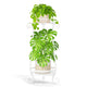 LASZOLA Metal Corner Plant Flower Stand Tall Indoor Outdoor, 2 Tiers White