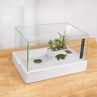 Turtle-1 (Small(Glass))
