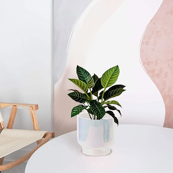 LB Blue White Ceramic Planters for Indoor Plants, Succulent Plant Pots Ceramic Plant Pot, Modern Flower Pots for Living Room Office Home Decor, Round Flower Pot of 4.3 Inch(Plant Not Included)