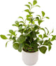 Ewtogift 19'' Artificial Ficus Plant in White Textured Ceramic Pot Realistic Faux Greenery with Lifelike Leaves Fake Plants for Indoor Home Office Bathroom Shelf Desk Tabletop Decor
