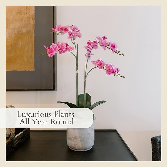 CG Hunter Faux Pink Orchid Plant, Premium Artificial Indoor Flower Display Stands 24”, Beautiful Sculptural Blooms That Lasts Forever, Grey Planter Pot Included