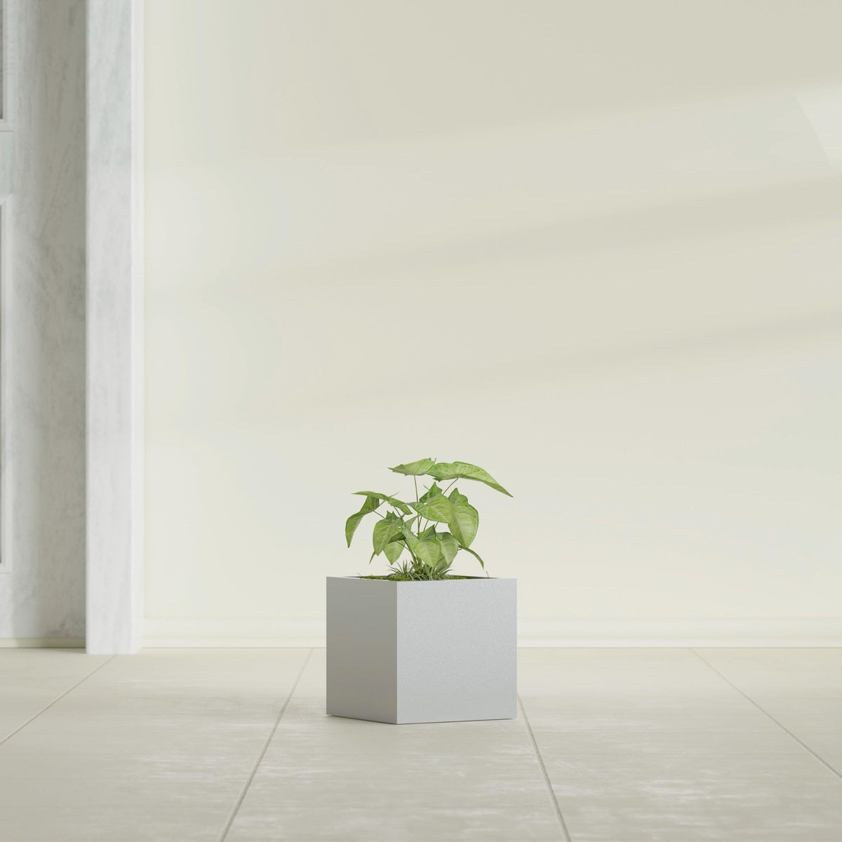 Greenline Large Square Cube Fiberglass Planter, Modern Indoor/Outdoor