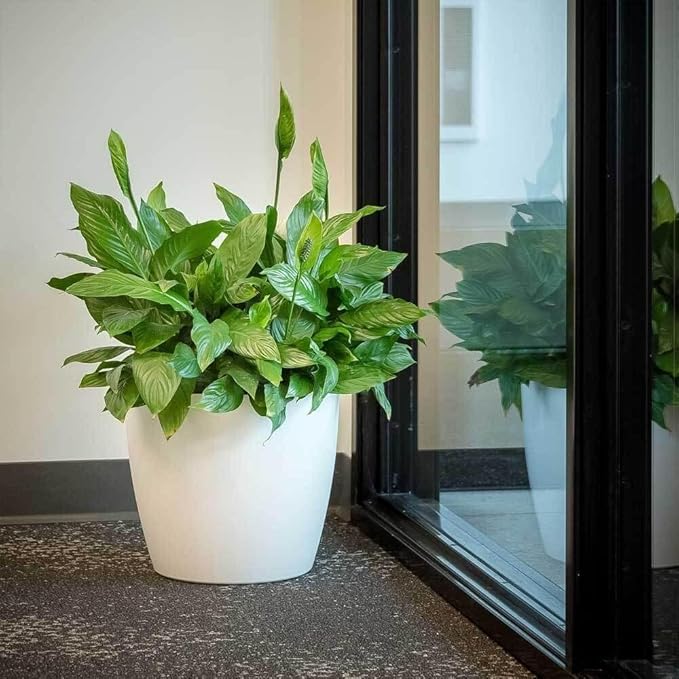 Greenline Manufacturing Memphis 15" Round Indoor Floor Planter Pot – Lightweight & Durable Plastic, Modern Design, Made in USA, Recyclable Large Plant Container for Home & Office Décor (Espresso Meta
