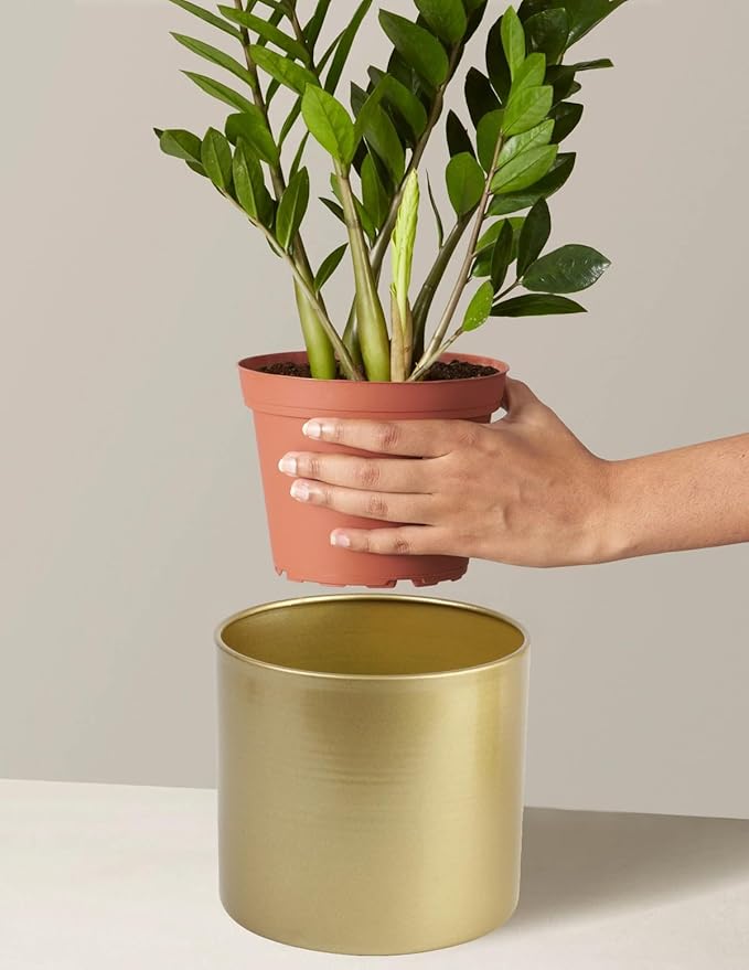 Vixdonos Metal Flower Pots Garden Planters Indoor Round Succulent Containers, Pack 2 Cactus Plant Pots with Drainage Hole (5.9inch+6.7inch, Gold)