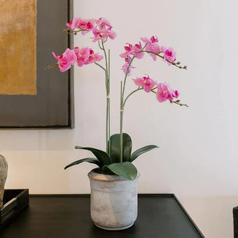 CG Hunter Faux Pink Orchid Plant, Premium Artificial Indoor Flower Display Stands 24”, Beautiful Sculptural Blooms That Lasts Forever, Grey Planter Pot Included