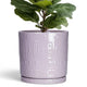 Eightpot Ceramic Plant Pots, 12 Inch Pots for Plants Indoor Outdoor, Round Planter with Drainage Hole and Tray, Modern Decorative Flower Pot, Home Apartment Decor, House Warming Gifts, Purple