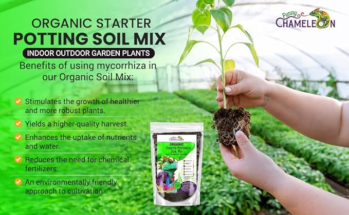 Organic Seed Starter Soil – Seed Starting Mix with Mycorrhizal Fungi – Natural Root Stimulator – Potting Soil for Vegetables and Herbs (5 QUARTS)