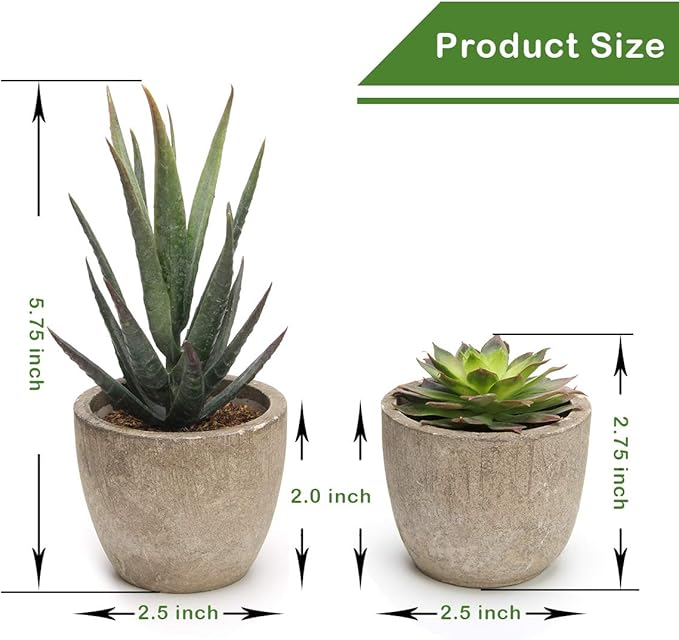 Coitak Artificial Succulent Plants Potted, Assorted Decorative Faux Succulent Potted Fake Cactus Cacti Plants with Pots, Set of 5