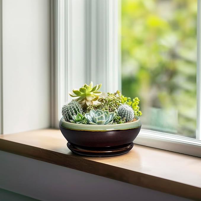 SQOWL Succulent Pots 6 Inch - Shallow Ceramic Planter, Bonsai Pot with Drainage Hole and Saucer, Round Ceramic Succulent Planter for Indoor Outdoor Plant, Kitchen Decor, Plant Lover Gift, Green-Brown