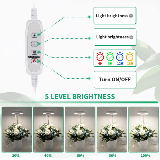 GYTF Halo Plant Grow Light, 6000K White LED Full Spectrum Growing Lamp for Indoor Plants, Succulents, Mini Bonsai, Small Plants, Height Adjustable, Dimmable & Timer 4/8/12/18Hrs,4 Pack