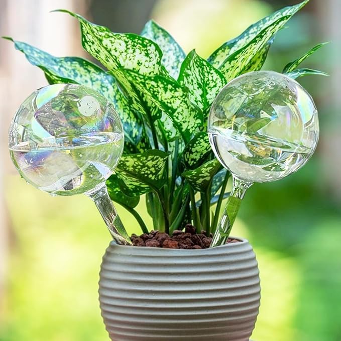 MOONSOUND Plant Watering Globes, 2pcs Plant Automatic Water Bulbs Flower Self Feeder Balls Irrigation Device Auto Waterer Planter Insert Stakes for Indoor Outdoor Garden Potted While Away on Vacation