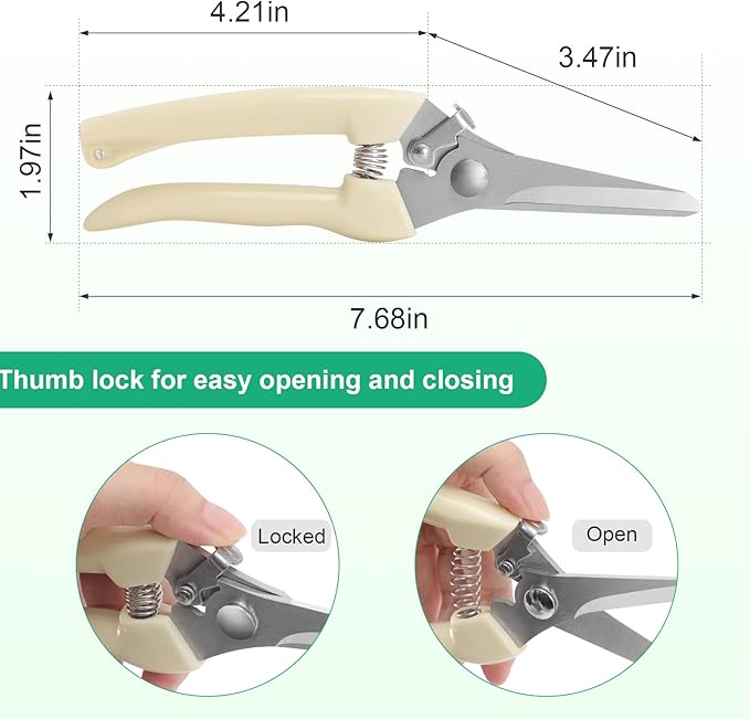 6PCS Premium garden shears, pruning scissors gardening tools, pruners for flower, bushes, rose and fruit tree, use for florist, yard and orchard the plant clippers, sharp steel anvil snips (white, 6)