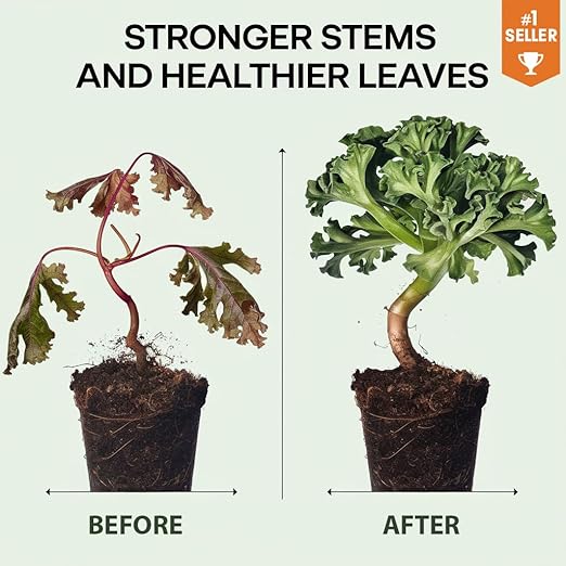 𝐒𝐔𝐏𝐄𝐑𝐈𝐎𝐑 Liquid Silica Boost Fertilizer and Supplement Spray for Carnivorous Plants – Pre-Mixed, Ready-to-Use Liquid Silicon Plant Superfood Mist for Indoor & Outdoor Plants – 8oz