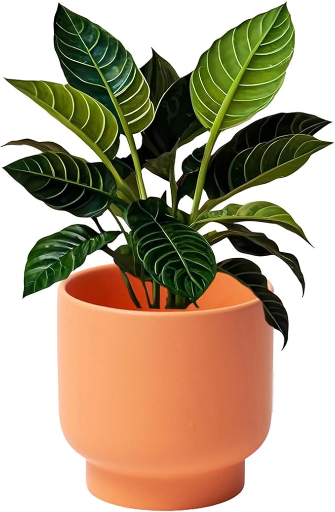 LB Orange Ceramic Planters for Indoor Plants, Succulent Plant Pots Ceramic Flower Pots, Modern Plant Pot for Living Room Office Home Decor, Round Flower Pot of 4.3 Inch(Plant Not Included)