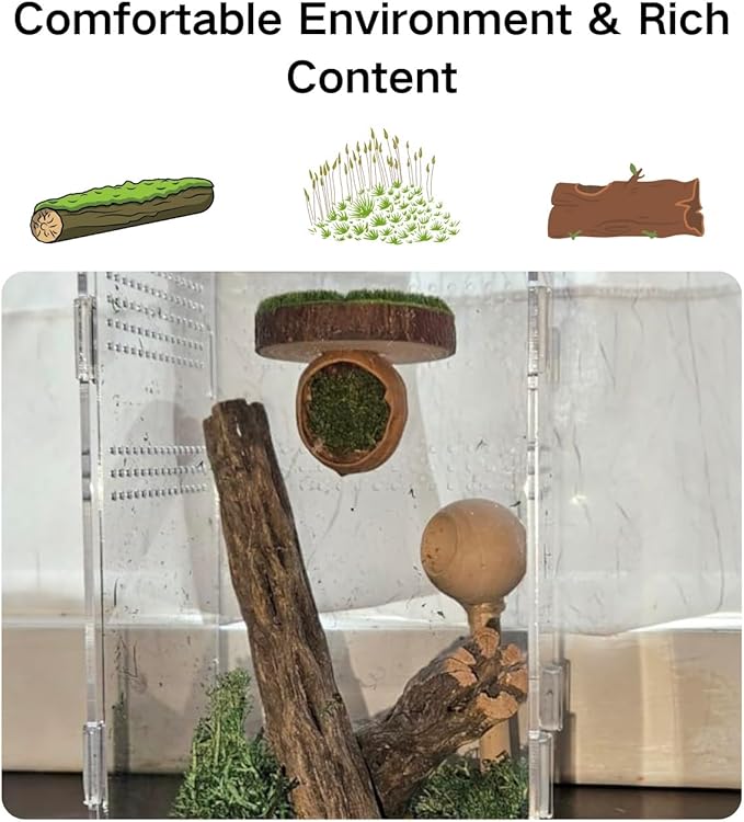 Jumping Spider Hide with Platform, 2 Pack Natural Materials Magnetic Perch for Jumping Spider Enclosure, Side-Mount Ledge for Small Spiders Terrarium