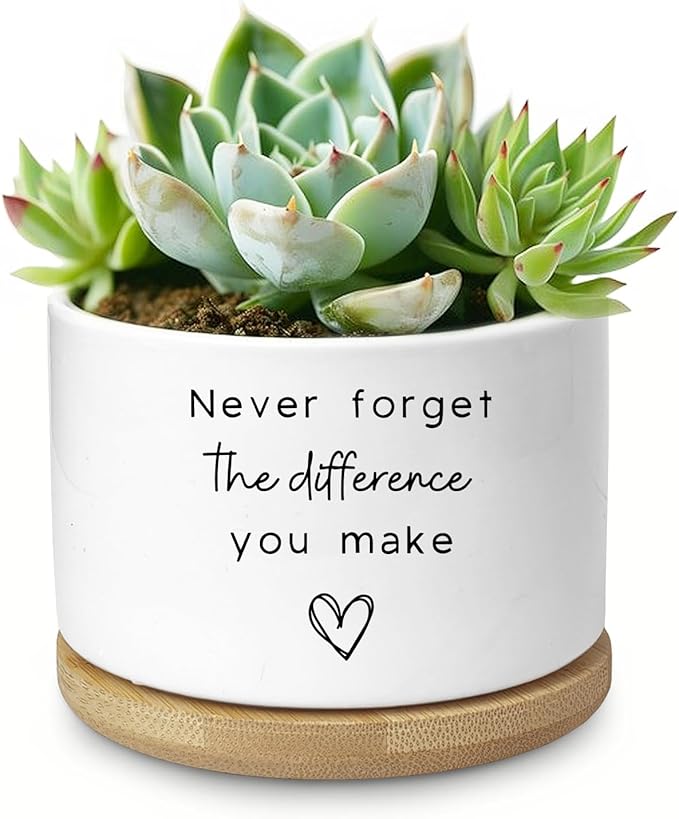 Aryabtya Cute Succulent Planter, Flower Cactus Plant Pot Gifts, Going Away Farewell Thank You Inspirational Employee Appreciation Gifts for Women Men Coworkers Boss Lady Manager (No Plants)