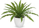 GnFlus Artificial Fern Plant in White Pot, 11 Inch Fake Bird’s Nest Ferns Plants Faux Potted Fern Plants for Home Living Room Bathroom Kitchen Office Table Indoor Decor