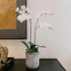 CG Hunter Faux Phale White Orchid Plant, Premium Artificial Indoor Flower Display Stands 24”, Beautiful Sculptural Blooms That Lasts Forever, Grey Planter Pot Included