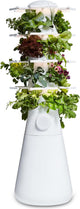 Lettuce Grow Farmstand Nook 4ft.7” Vertical Hydroponic Garden Tower - Self-Watering, Vertical Hydroponic Tower with LED Grow Lights, 20 Live Seedlings, Smart Timer - Indoor Vertical Growing Tower