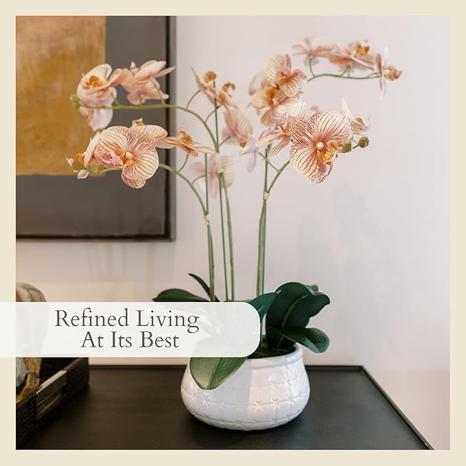 CG Hunter Faux Orange Orchid Plant, Premium Artificial Indoor Flower Display Stands 23”, Beautiful Sculptural Blooms That Lasts Forever, White Planter Pot Included