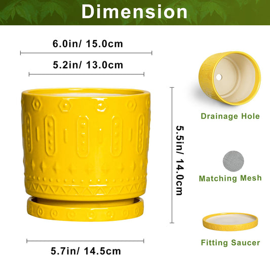 Eightpot 6 Inch Pots for Plants, Ceramic Pots for Plants with Drainage Holes and Tray, Round Planter for Indoor Outdoor, Modern Plant Pot, Decorative Flower Pot, Table Decor, Teacher Gift, Yellow