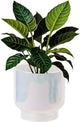 LB Blue White Ceramic Planters for Indoor Plants, Succulent Plant Pots Ceramic Plant Pot, Modern Flower Pots for Living Room Office Home Decor, Round Flower Pot of 4.3 Inch(Plant Not Included)