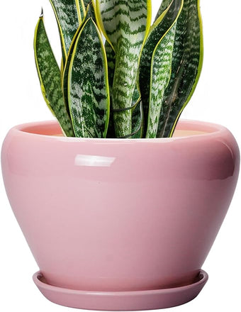 Ceramic Modern Glaze Succulent Planter Pot with Drainage Hole and Saucer 8 Inch Round Flower Plant Pot for Indoor Outdoor Herb Snake Plants, Pink