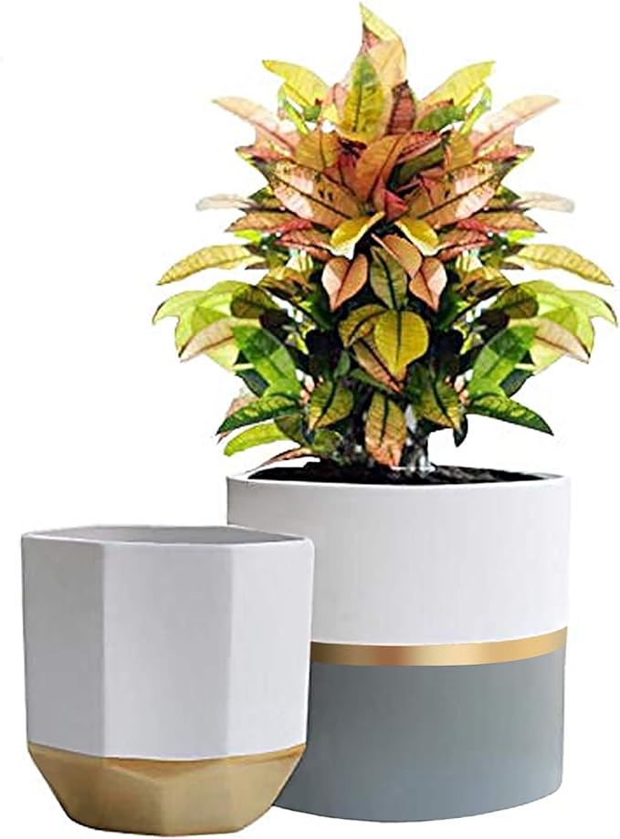 LA Jolie Muse White Ceramic Flower Pot Garden Planters 6.7 Inch Pack 2 Indoor Plant Containers with Gold and Grey Detailing