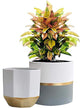 LA Jolie Muse White Ceramic Flower Pot Garden Planters 6.7 Inch Pack 2 Indoor Plant Containers with Gold and Grey Detailing