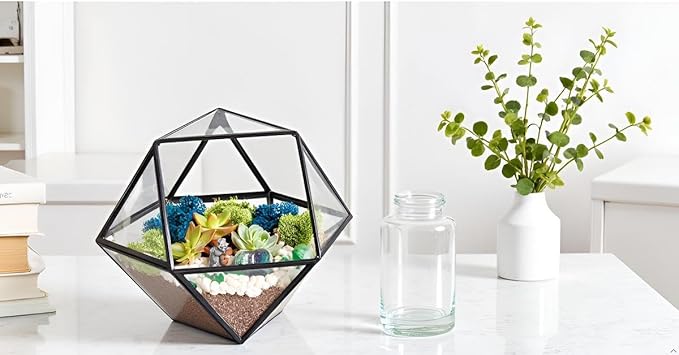 Creations by Nathalie DIY 7" Geometric Terrarium Kit with Live Plants - Build Your Own Glass Terrarium for Adults & Kids with Moss, Crystals, Tools & Decor - Mini Ecosystem - Handcrafted in The USA