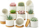 ZOUTOG 12 Pack Ceramic Succulent Pots,4 Inch Plant Pots,Succulent Planters with Drainage Hole & Bamboo Tray for Indoor Plants,White Small Flower Planters for Home,Office,Desk