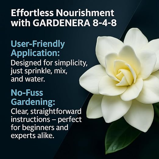 𝐁𝐄𝐒𝐓𝐒𝐄𝐋𝐋𝐄𝐑 Slow Release Hydrangea Fertilizer with Iron & Sulfur – Indoor & Outdoor Soil Acidifier for Miracle Growth [16 OZ]
